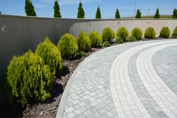 Best Concrete Paver Driveway  in Texarkana, TX